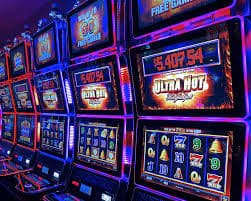 bd 500 content area covering cricket football tennis and casino-style games